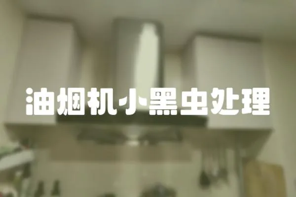 油煙機小黑蟲處理