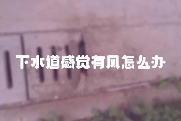 下水道感覺有風(fēng)怎么辦