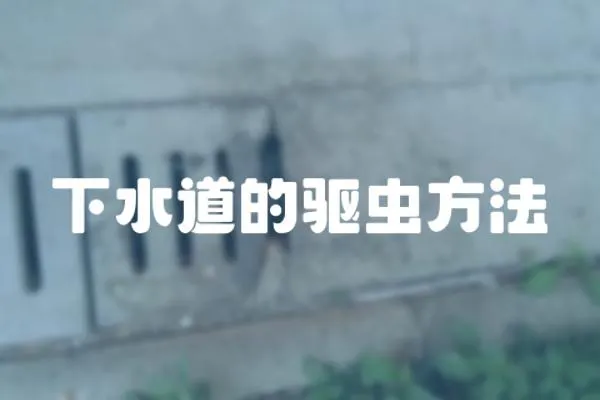 下水道的驅(qū)蟲方法