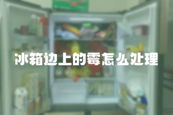 冰箱邊上的霉怎么處理