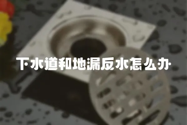 下水道和地漏反水怎么辦