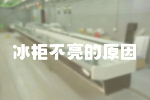 冰柜不亮的原因