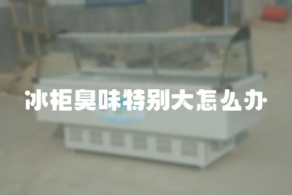 冰柜臭味特別大怎么辦