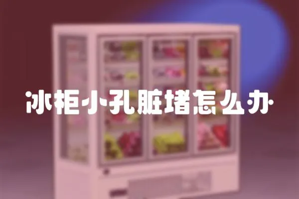 冰柜小孔臟堵怎么辦