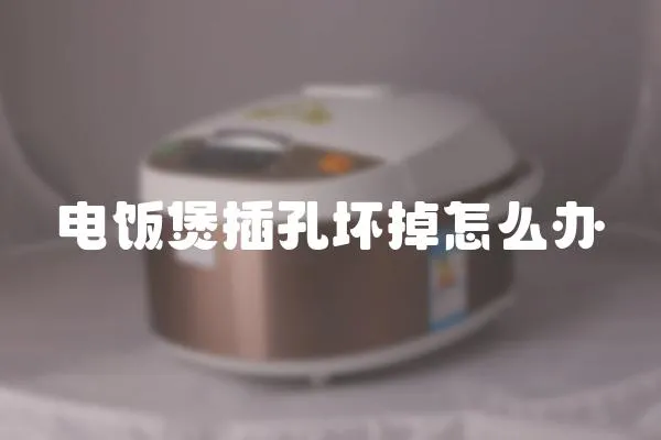 電飯煲插孔壞掉怎么辦