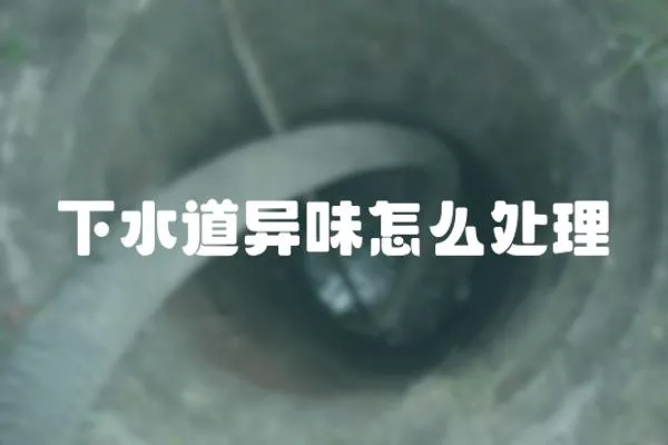 下水道異味怎么處理