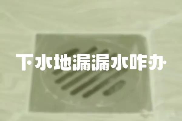 下水地漏漏水咋辦