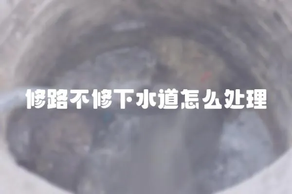 修路不修下水道怎么處理
