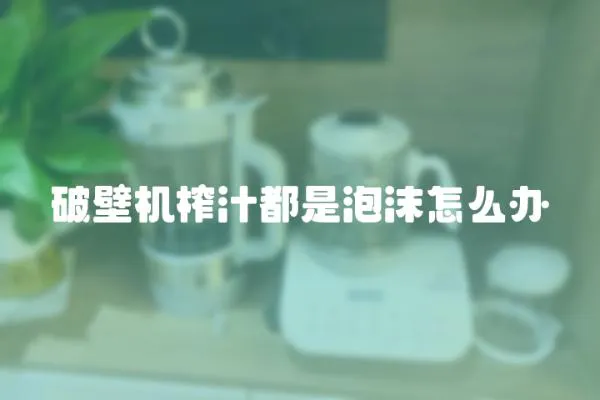 破壁機榨汁都是泡沫怎么辦