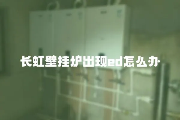 長虹壁掛爐出現ed怎么辦