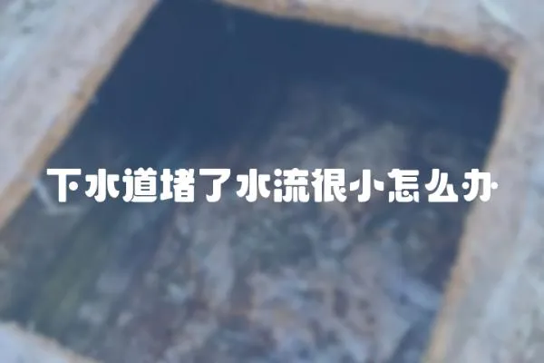 下水道堵了水流很小怎么辦