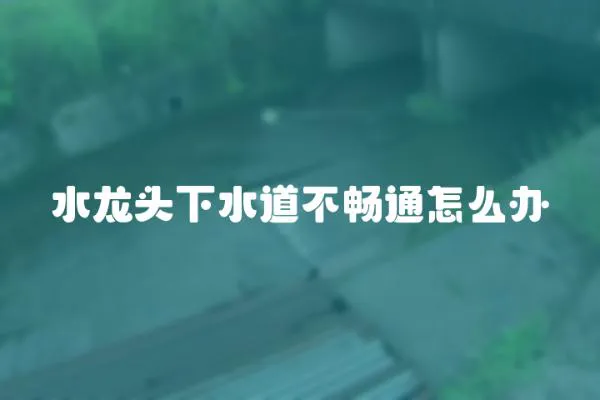 水龍頭下水道不暢通怎么辦