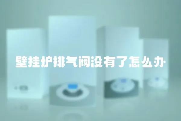 壁挂炉排气阀没有了怎么办