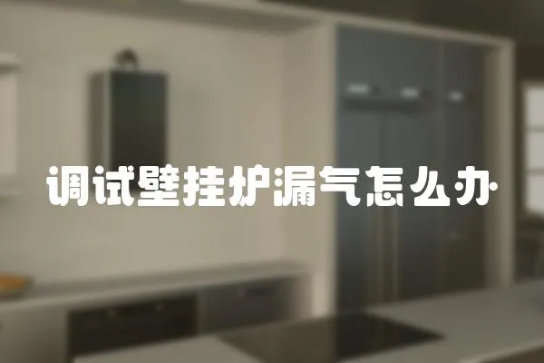 調(diào)試壁掛爐漏氣怎么辦