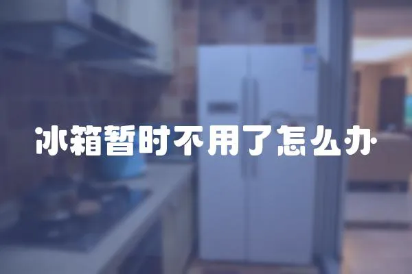 冰箱暫時不用了怎么辦