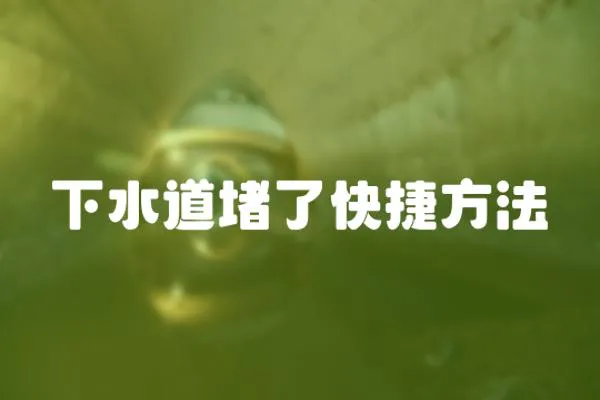 下水道堵了快捷方法