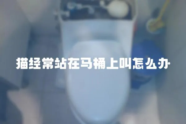 貓經常站在馬桶上叫怎么辦