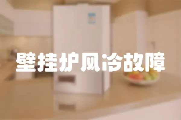 壁掛爐風冷故障
