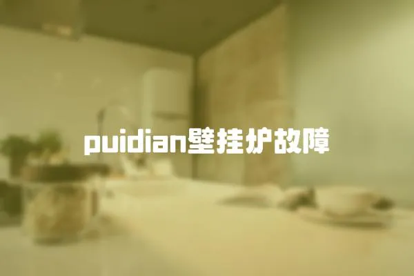 puidian壁掛爐故障