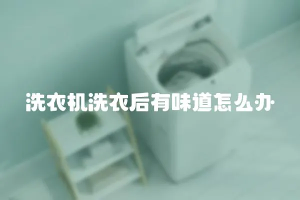 洗衣機洗衣后有味道怎么辦