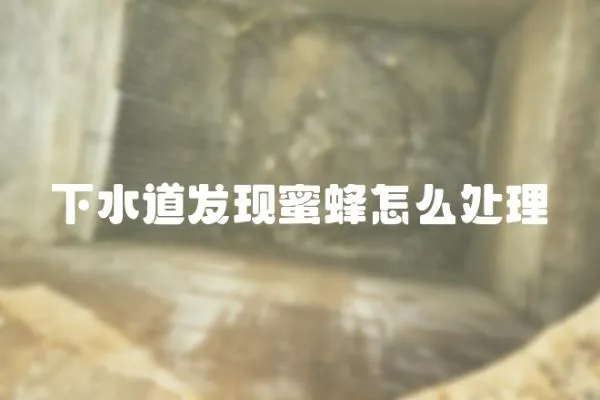 下水道發現蜜蜂怎么處理