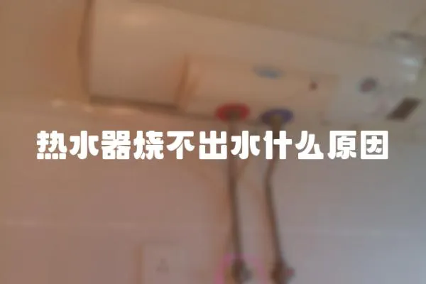 熱水器燒不出水什么原因