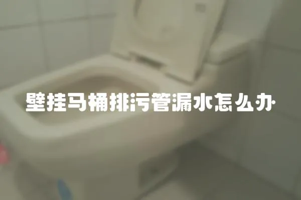 壁掛馬桶排污管漏水怎么辦