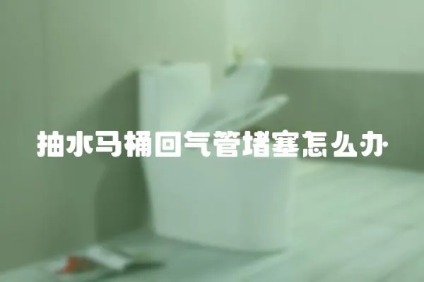 抽水馬桶回氣管堵塞怎么辦