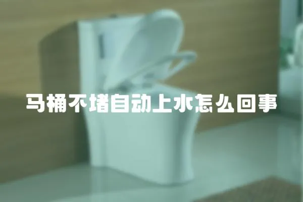 馬桶不堵自動(dòng)上水怎么回事