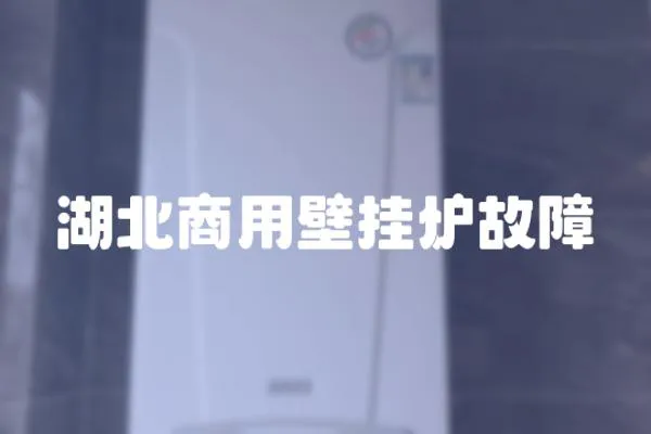 湖北商用壁掛爐故障