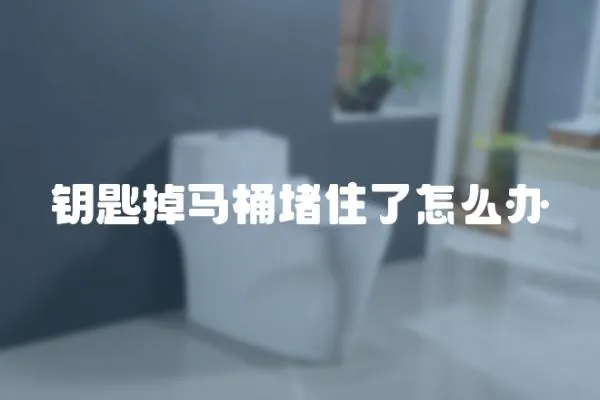 钥匙掉马桶堵住了怎么办