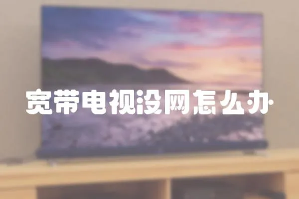 寬帶電視沒網怎么辦