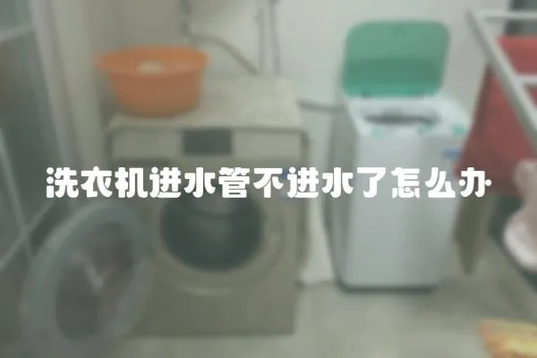 洗衣機(jī)進(jìn)水管不進(jìn)水了怎么辦