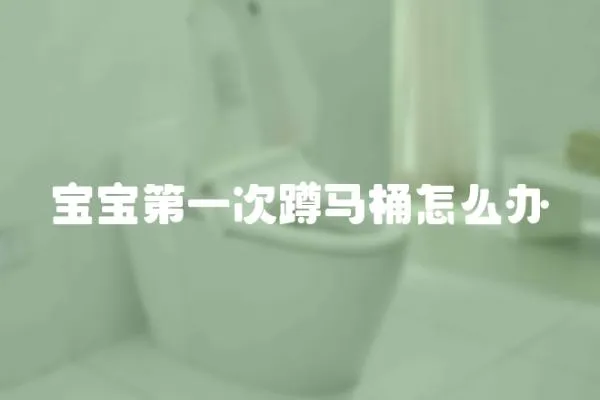 寶寶第一次蹲馬桶怎么辦