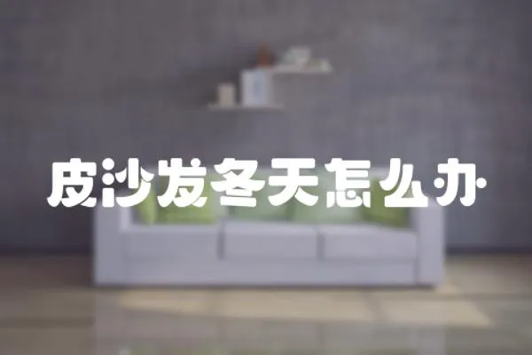 皮沙發冬天怎么辦