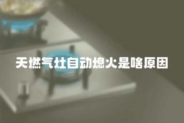 天燃氣灶自動熄火是啥原因