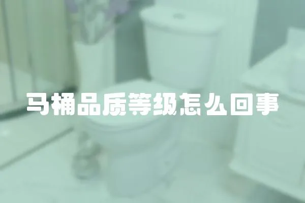 馬桶品質等級怎么回事