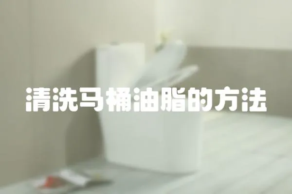清洗馬桶油脂的方法