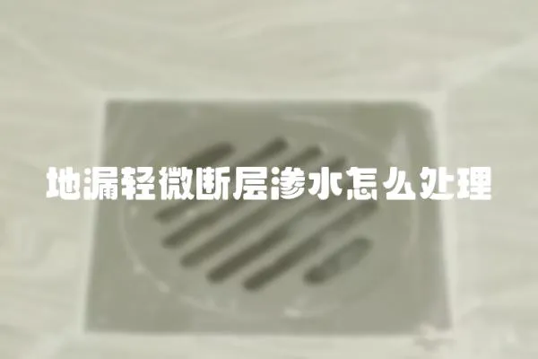 地漏輕微斷層滲水怎么處理