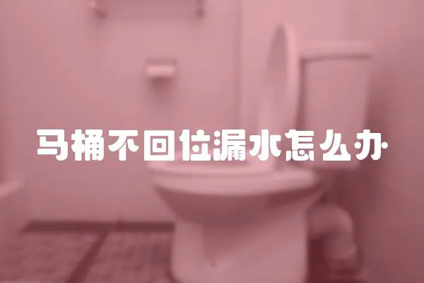 馬桶不回位漏水怎么辦