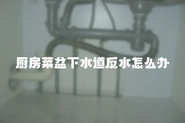 廚房菜盆下水道反水怎么辦