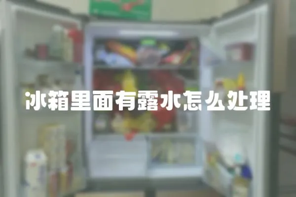 冰箱里面有露水怎么處理