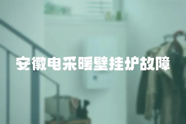 安徽電采暖壁掛爐故障