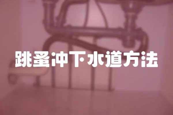 跳蚤沖下水道方法