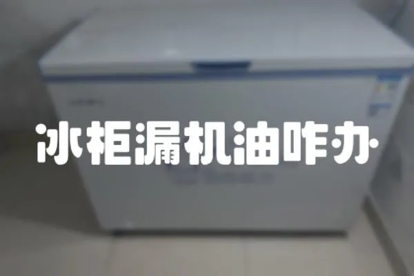 冰柜漏機油咋辦