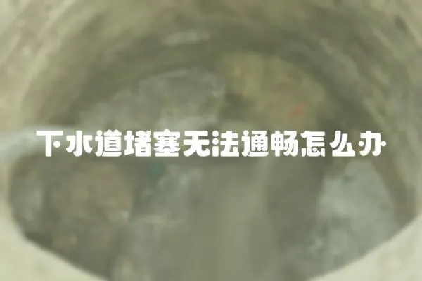 下水道堵塞無法通暢怎么辦