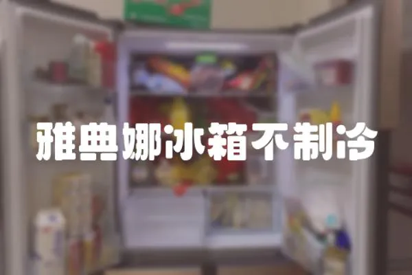 雅典娜冰箱不制冷