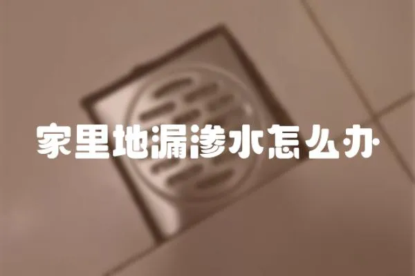 家里地漏滲水怎么辦