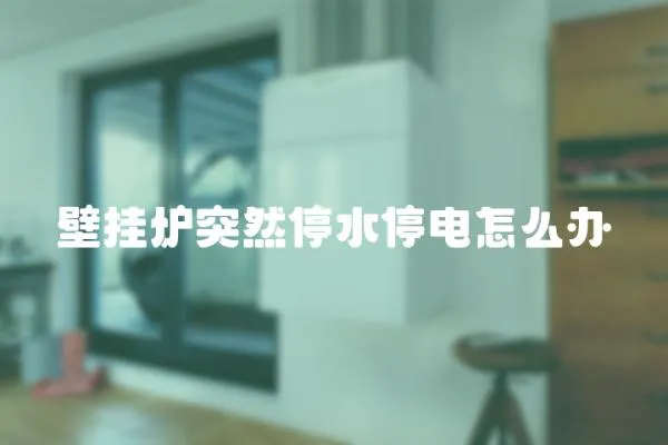 壁掛爐突然停水停電怎么辦