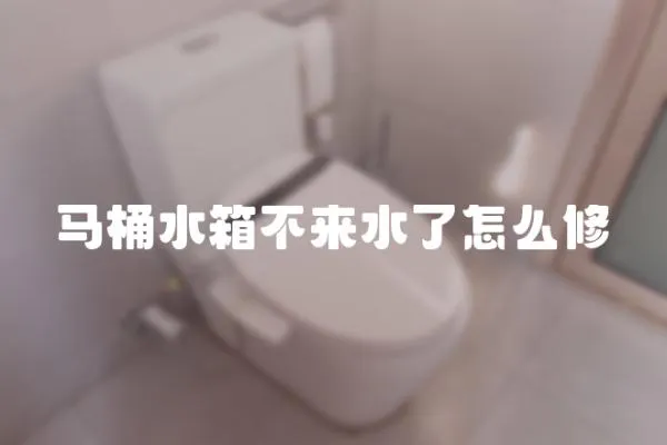 馬桶水箱不來水了怎么修